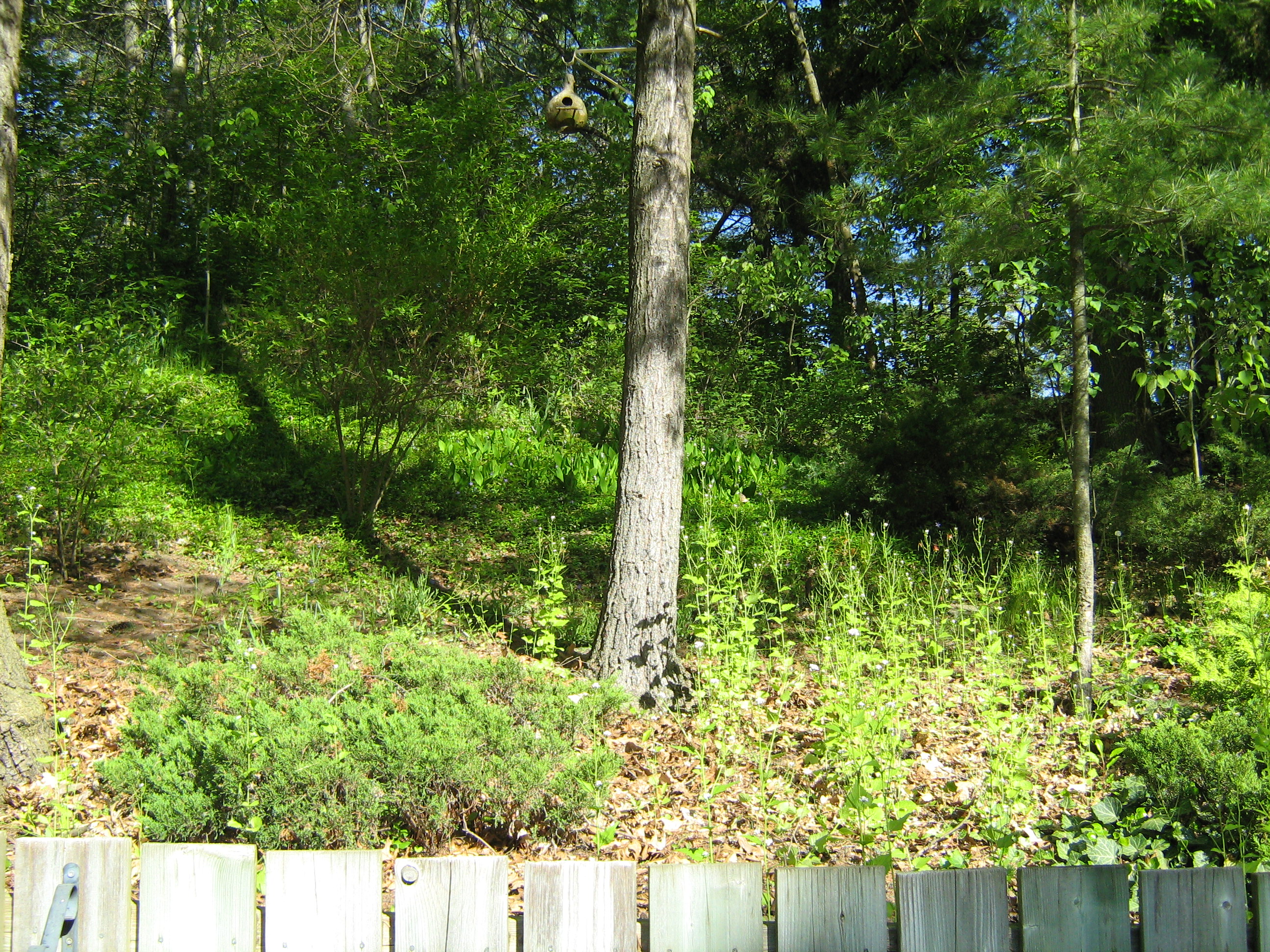 Natural stone retaining wall London Ontario