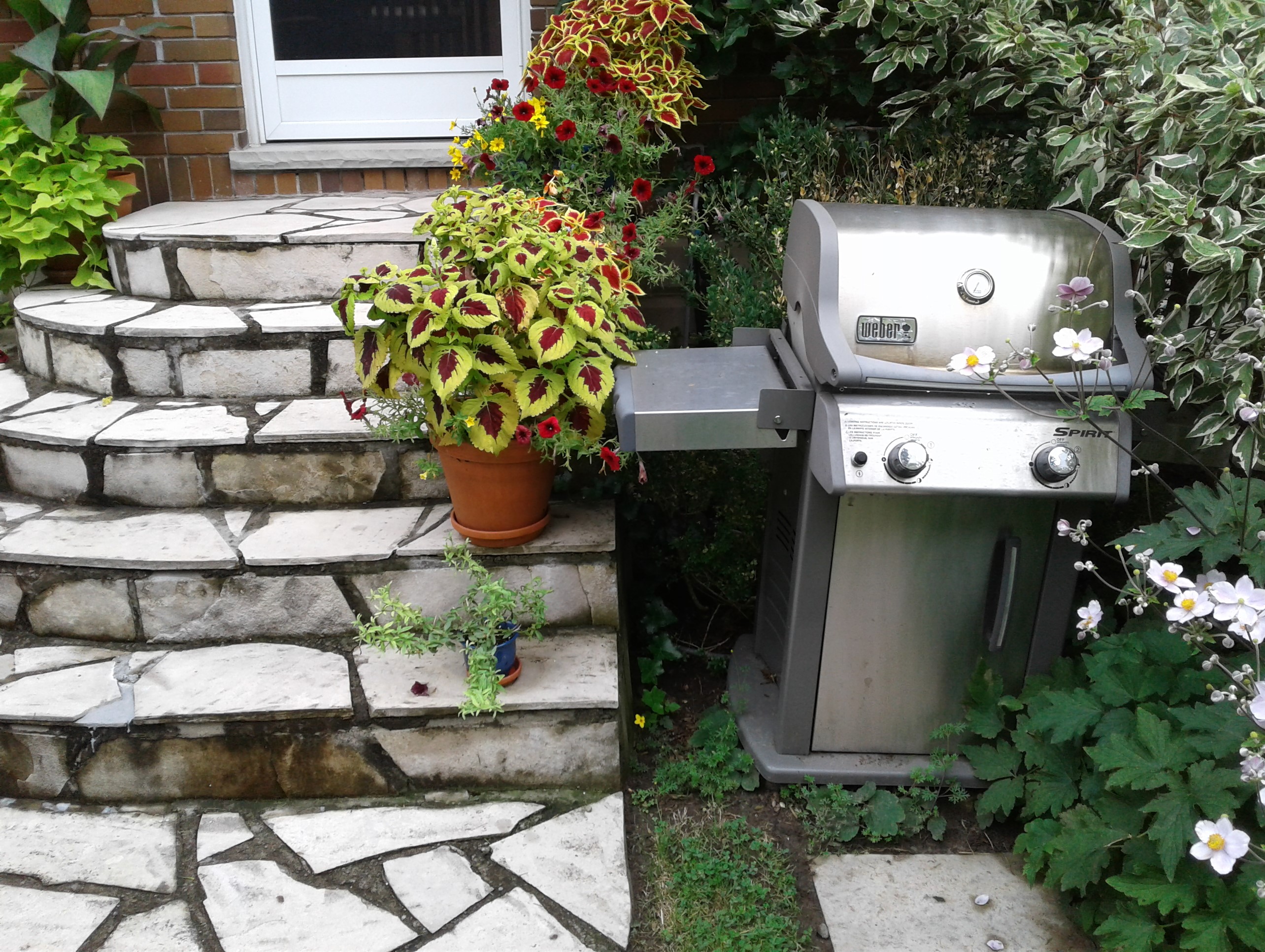 Flagstone steps London Ontario